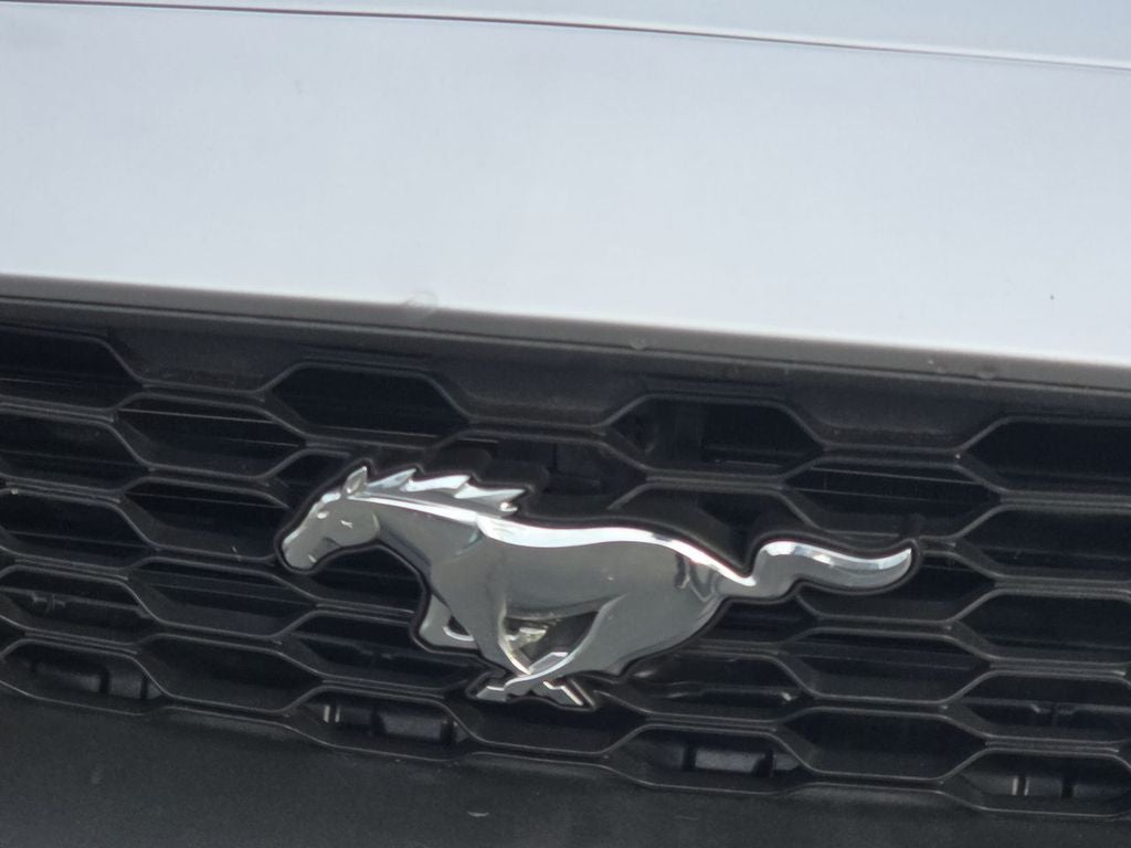 2023 Ford Mustang EcoBoost