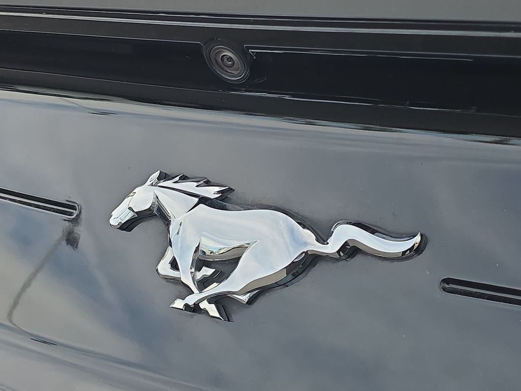 2023 Ford Mustang EcoBoost