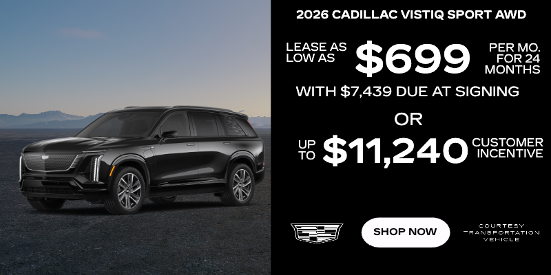 2026 Vistiq Sport